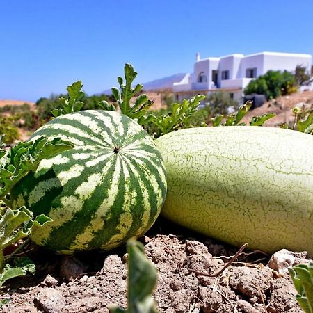Apartmán Relaxia Estate Naxos Galini  Exteriér fotografie