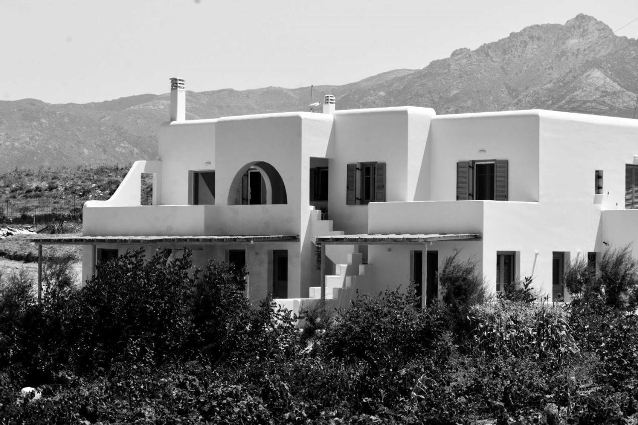 Apartmán Relaxia Estate Naxos Galini  Exteriér fotografie