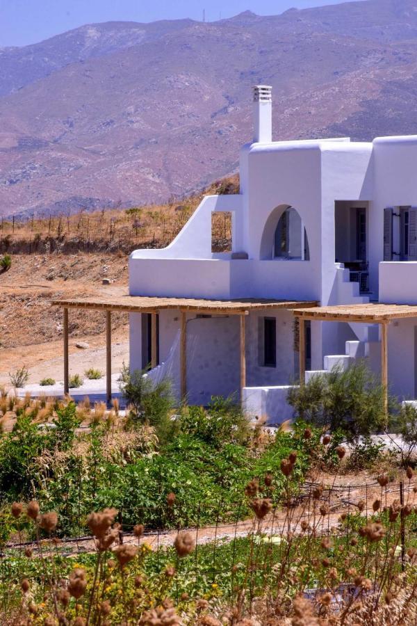 Apartmán Relaxia Estate Naxos Galini  Exteriér fotografie